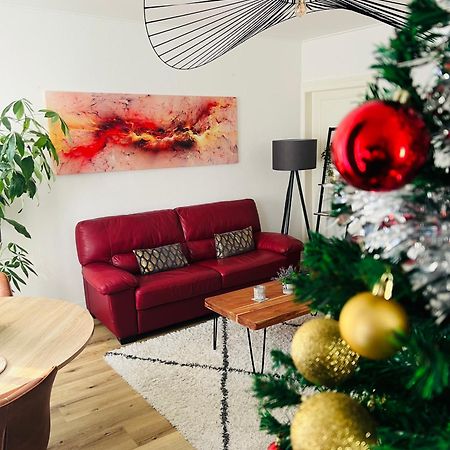 Appartement Cosy Et Lumineux Avec Parking Gratuit Colmar Eksteriør bilde