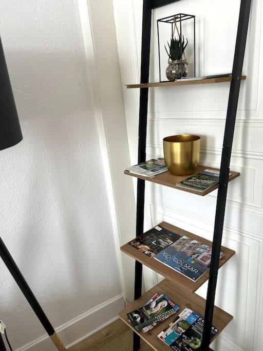 Appartement Cosy Et Lumineux Avec Parking Gratuit Colmar Eksteriør bilde