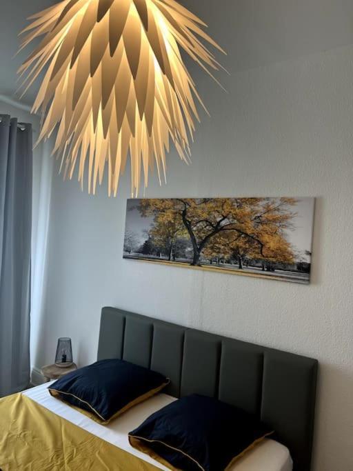 Appartement Cosy Et Lumineux Avec Parking Gratuit Colmar Eksteriør bilde